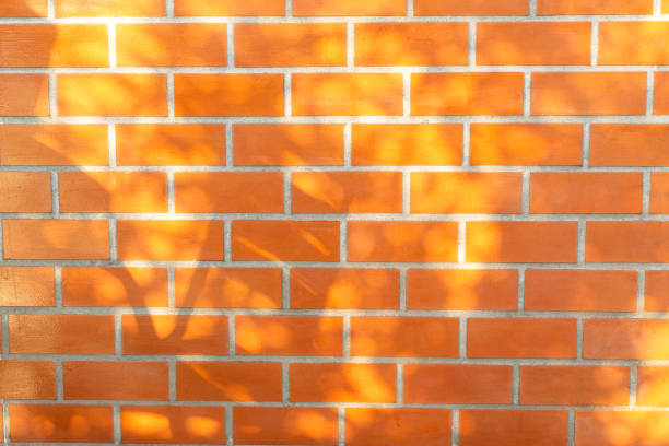 Red brick wall texture and sunlight shadow,Shadows of leaves on a red brick wall under sunlight