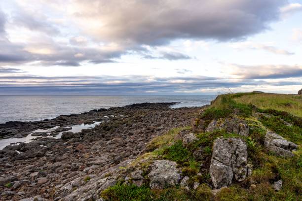 istock Rocky coastline with lush greenery under cloudy sky. 2193533702