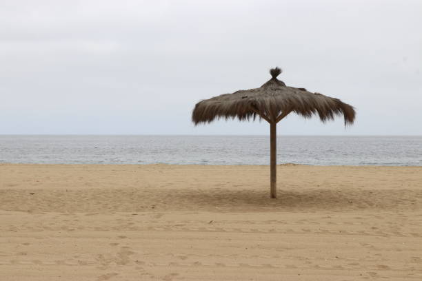 Straw umbrellas on a lonely beach