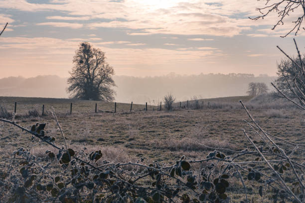 istock Frozen Agricultural Filed 2193534752
