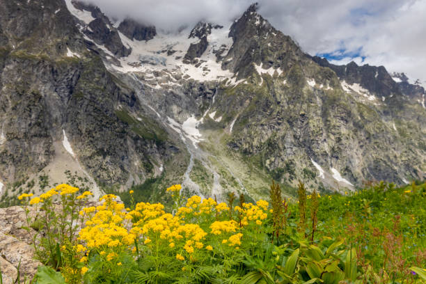 istock Val Ferret mountain landscape in the Alps 2193536923