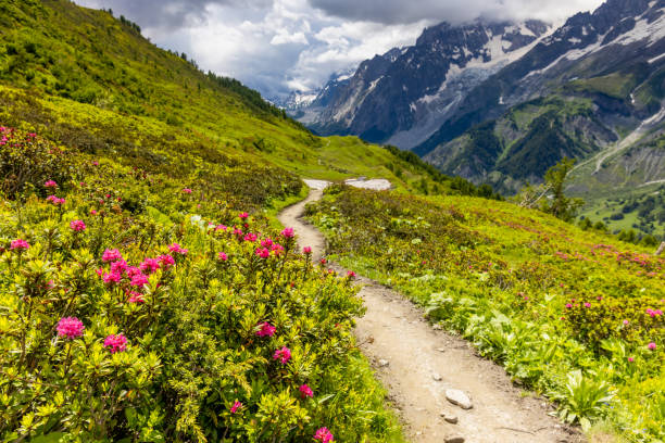 istock Val Ferret mountain landscape in the Alps 2193536976