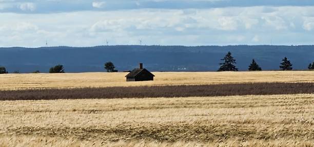 istock Rural landscape featuring a field with a small hut 2193536984