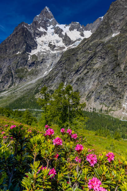 istock Val Ferret mountain landscape in the Alps 2193537084