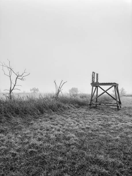 istock High seat at a foggy field. 2193538074