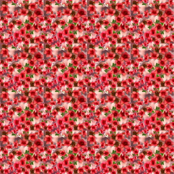 Colorful pattern fabric samples