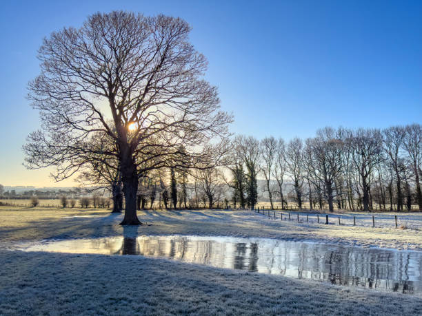 istock Frosty morning in the countryside 2193543359