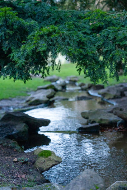 A peaceful stream winds through a verdant park, bordered by smooth stones and lush foliage. The water reflects the surrounding greenery, creating a harmonious blend of colors and textures. Trees arch over the stream, providing natural shade and adding to the serene atmosphere. This idyllic location invites visitors to pause and enjoy the soothing sounds of gently flowing water, perfect for relaxation or contemplation amidst nature.