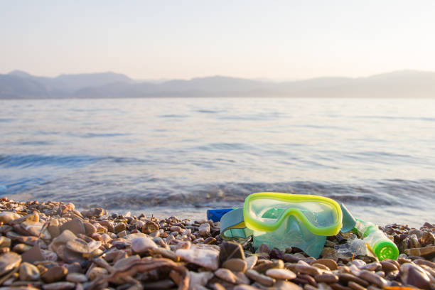 Scuba diving fins, flippers on a background