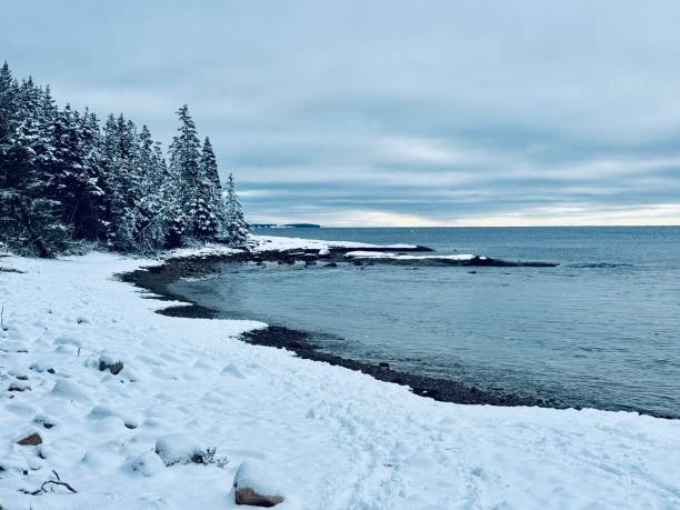 istock Wonderland Trail - Acadia National Park 2193551276