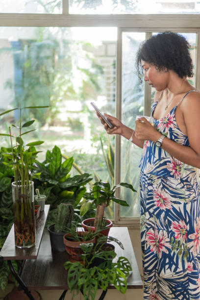istock Young woman using smartphone and drinking tea near plants at home 2193552403