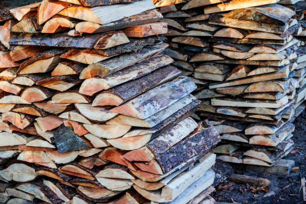 Rustic background with firewood logs stacked in a wall