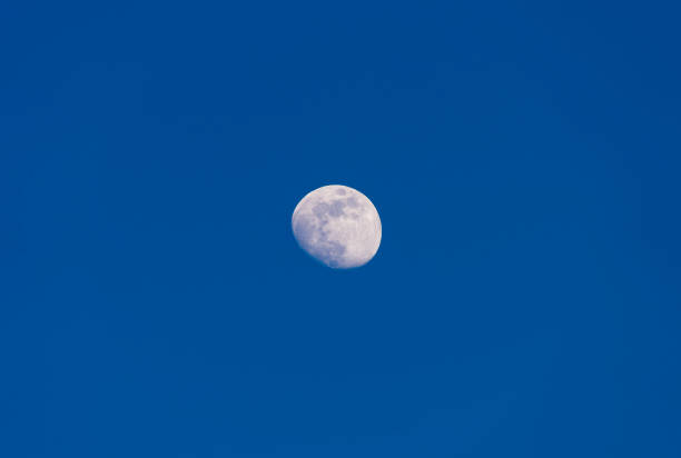 Waxing Gibbous Moon in Blue Sky - Crisp moon centered in sky with views of impact craters.