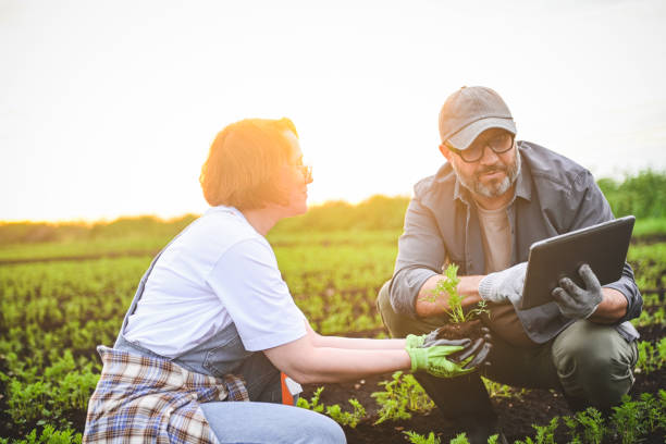 istock man and woman farmers checking vegetable field progress, holding tablet using internet. 2193555947