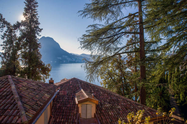 istock Awesome  view on Lugano lake through Fir trees 2193557125