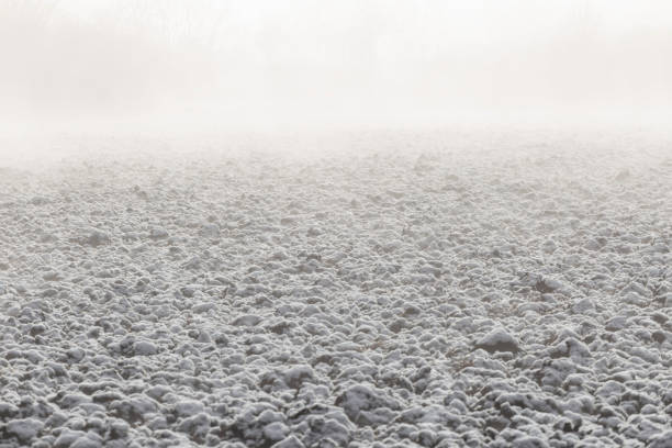 Plowed agricultural field covered with snow on foggy winter morning
