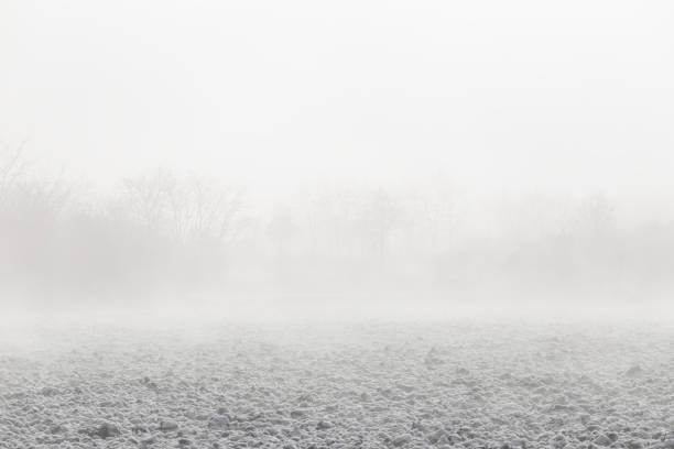 Plowed agricultural field covered with snow on foggy winter morning