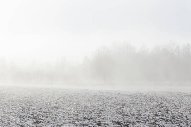 Plowed agricultural field covered with snow on foggy winter morning