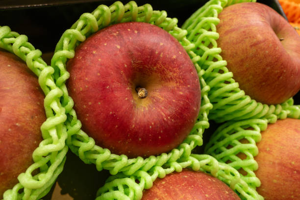 Cute blown fruit icon on colorful soft background.