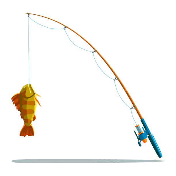 istock Fishing rod and caught sea bass 2193559480