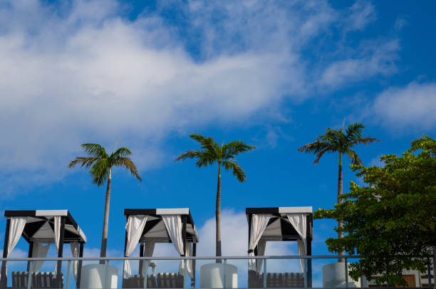 A vibrant photograph capturing the luxurious rooftop scene at a hotel in South Beach, Miami. The image highlights modern cabanas draped in flowing white curtains, set against the backdrop of a vivid blue sky and swaying palm trees. This composition embodies the tropical elegance and relaxing atmosphere of Miami’s iconic beachside lifestyle.