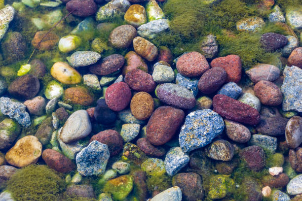 Vibrant multicolored stones are visible through clear water beneath a gentle layer of green moss, creating an enchanting natural underwater scene.