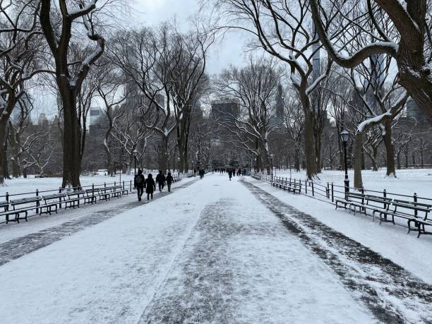 istock Central Park’s Mall after a snowstorm 2193566899