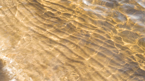 bottom of the river with fine sand background