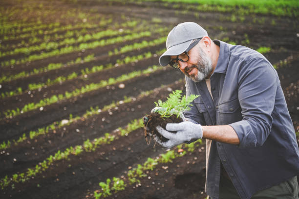 istock farmer holding soil with sprout in his hands 2193568339