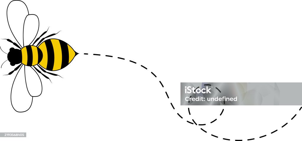 Bee Path Bee Flying Path A Bee Flying In A Dotted Line The Flight Path Of Bee ...
