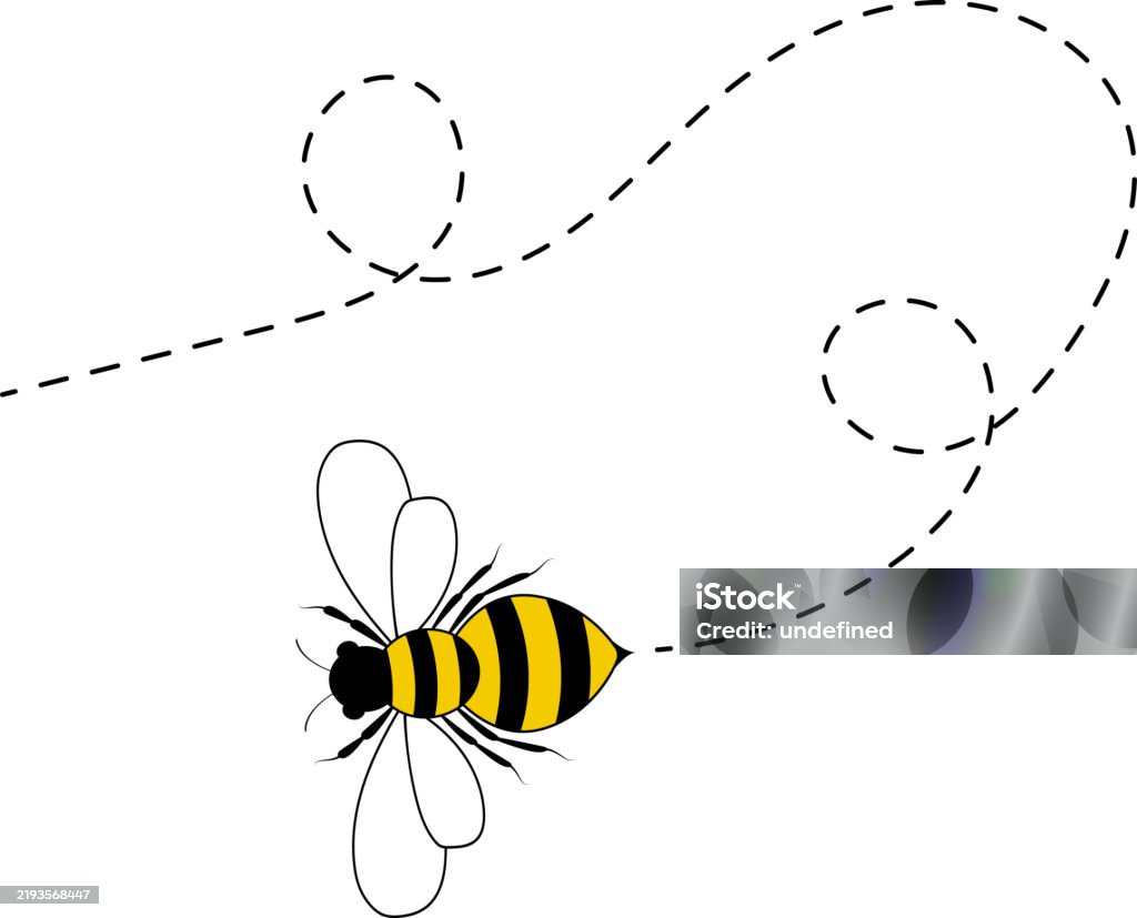 Bee Path Bee Flying Path A Bee Flying In A Dotted Line The Flight Path Of Bee ...