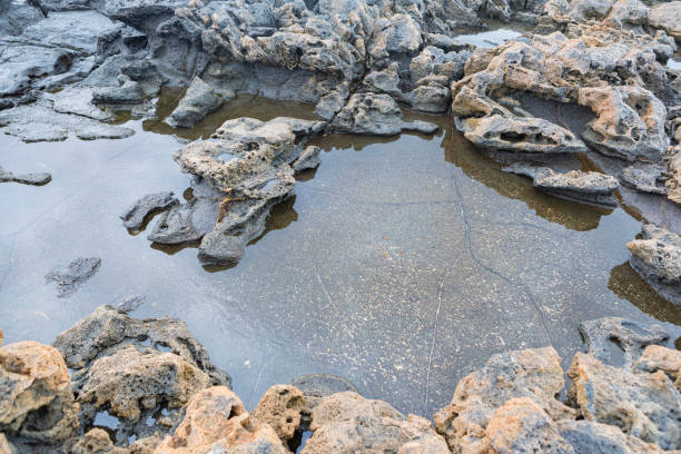 Cotillo beach and volcanic rocks black and white sands. Fuerteventura North western part.Surf paradise in Canary Islands.