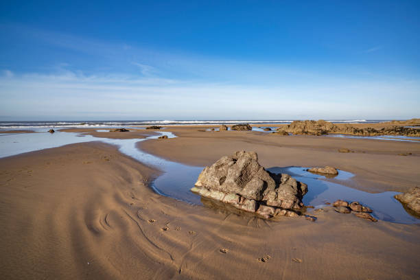 istock Doggy footprints in the sand 2193572817