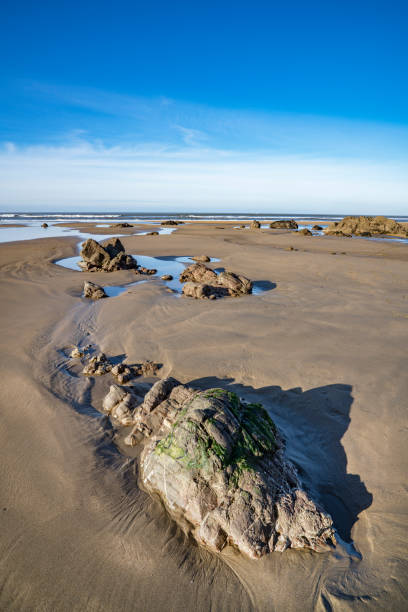 istock Rock formations revealed at low tide Northcott Mouth Cornwall 2193572885