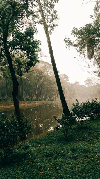 istock Botanical garden in Hanoi. Tranquil Landscape Filled with Lush Greenery and Serene 2193573621