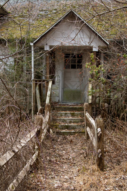 istock Abandoned house in overgrown brush 2193577768