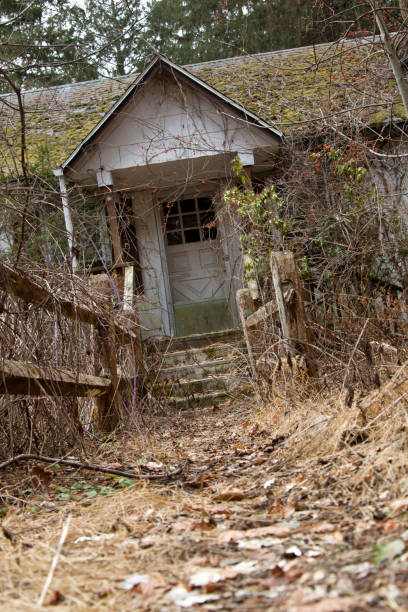 istock Abandoned house in overrun brush 2193577772