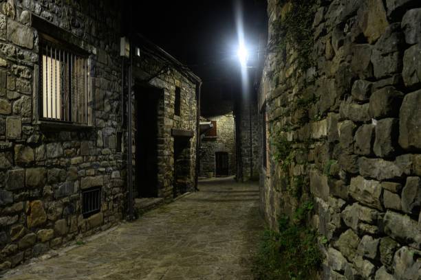 istock Charming stone alley at night with bright lights in Torla - Huesca 2193583004