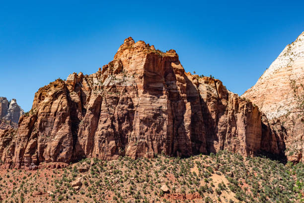 Zion National Park view, Utah, USA.