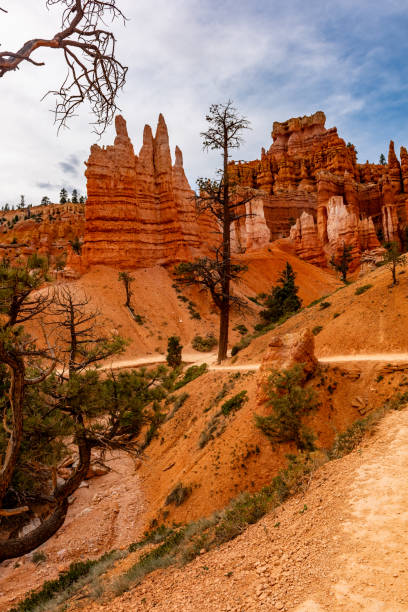 istock Bryce Canyon national park, Utah, USA 2193586107