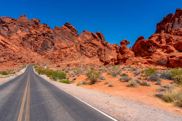istock Valley of fire state park,, Nevada, USA 2193586661