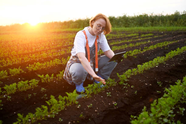 istock female farmer against the backdrop of agricultural fields( tablet pc) 2193587874