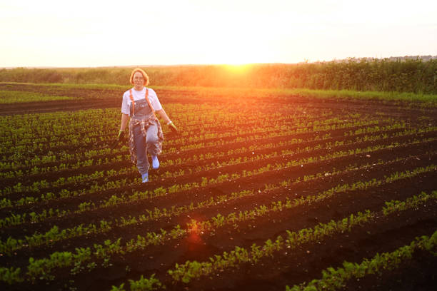 female farmer against the backdrop of agricultural fields