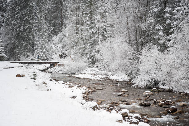 Snowy Forest with a River. Zakopane Poland.