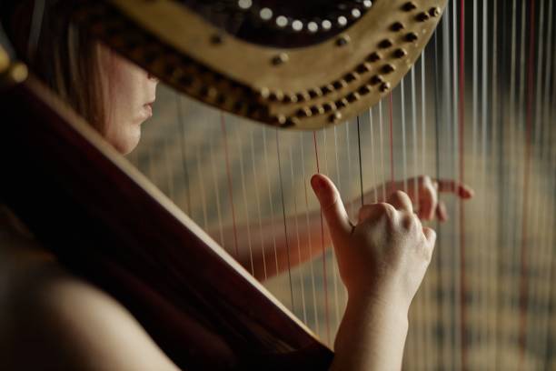 istock Hands of Woman Playing Harp Plucking Strings Softly during Performance Indoors 2193593611