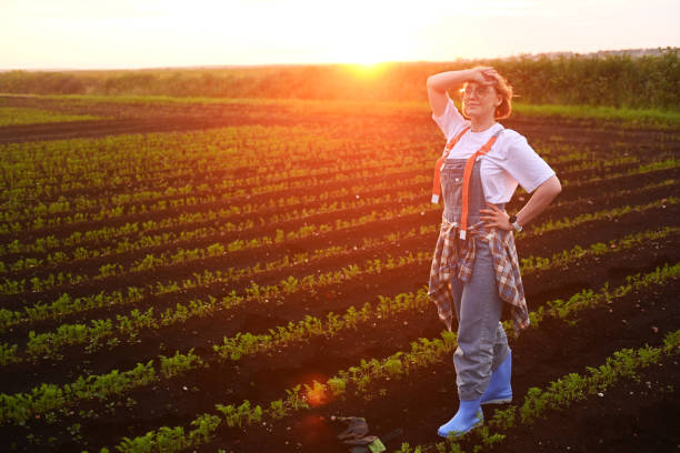 female farmer against the backdrop of agricultural fields