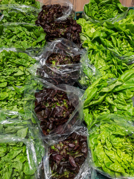 istock Fresh Organic Lettuce Varieties in Eco-Friendly Packaging 2193594927