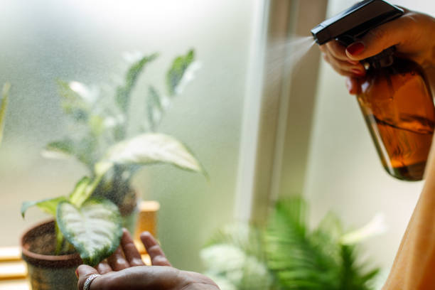 istock Spraying her plants with water to hydrate them 2193598268