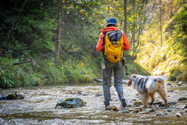 istock Adventurous Young Woman and Dog Exploring Sunlit River 2193598960