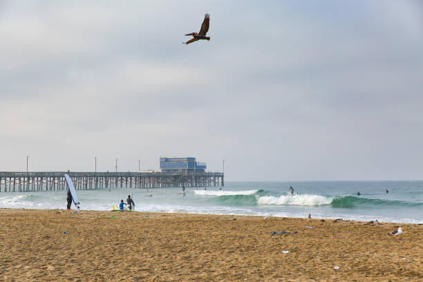 Newport Beach, California - February 16th  2015, Peoples enjoying winter waves on Newport Beach in southern Orange County, California, United States.